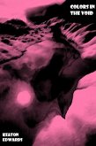 Colors in The Void (eBook, ePUB)