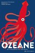 Ozeane - Bild 1