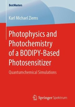 Photophysics and Photochemistry of a BODIPY¿Based Photosensitizer - Ziems, Karl Michael