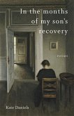In the Months of My Son's Recovery (eBook, ePUB)