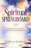 Spiritual Springboard (eBook, ePUB)