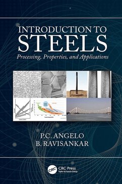 Introduction to Steels (eBook, PDF) - Angelo, P. C.; Ravisankar, B.