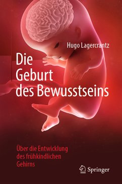 Die Geburt des Bewusstseins (eBook, PDF) - Lagercrantz, Hugo