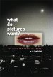 What Do Pictures Want? (eBook, ePUB) - Bild 1