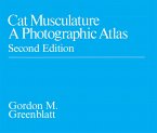Cat Musculature (eBook, ePUB)