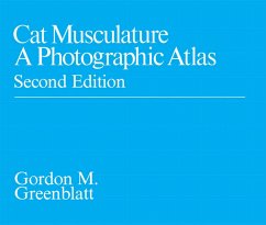 Cover Cat Musculature (eBook, ePUB)