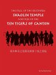 The Fall of the Southern Shaolin Temple... - Bild 1