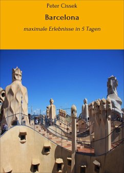 Barcelona (eBook, ePUB) - Cissek, Peter