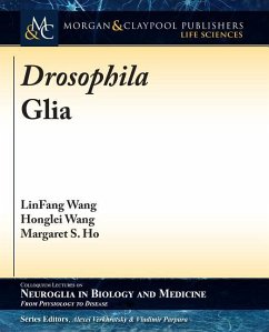 Drosophila Glia - Wang, Linfang; Wang, Honglei; Ho, Margaret S