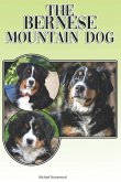 The Bernese Mountain Dog