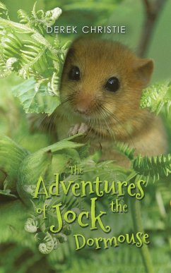 The Adventures of Jock the Dormouse - Christie, Derek