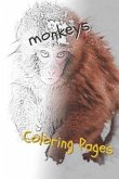 Monkeys Coloring Pages