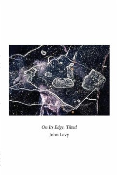 on its edge, tilted - Levy, John