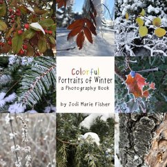 Colorful Portraits of Winter - Fisher, Jodi Marie