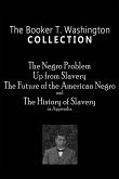 The Booker T. Washington Collection