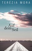 Auf dem Seil (eBook, ePUB)