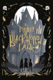 Mystery of Black Hollow Lane (eBook, ePUB)