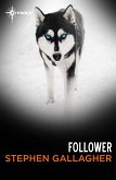 Follower (eBook, ePUB)