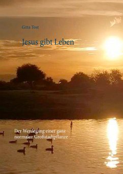 Jesus gibt Leben (eBook, ePUB) - Tost, Gitta