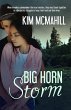 Big Horn Storm (eBook, ePUB) - Bild 1