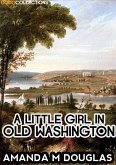 A Little Girl in Old Washington (eBook, ePUB)