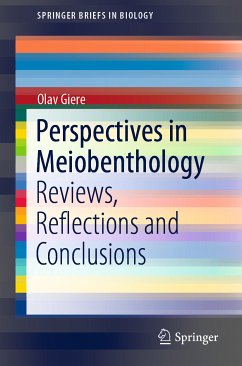 Perspectives in Meiobenthology (eBook, PDF) - Giere, Olav