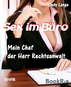 Sex im Büro (eBook, ePUB) - Lange, Sindy