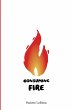 Consuming Fire - Bild 1