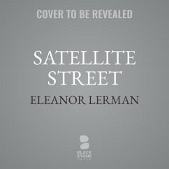 Satellite Street - Lerman, Eleanor