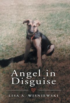 Angel in Disguise - Author