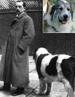 Short Stories of Various Types (eBook, ePUB) - M Barrie, J.