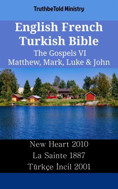 Cover English French Turkish Bible - The Gospels VI - Matthew, Mark, Luke & John (eBook, ePUB)