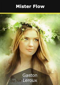 Cover Mister Flow (eBook, ePUB)