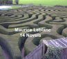Maurice Leblanc: 14 Novels (eBook, ePUB) - Bild 1