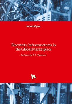 Electricity Infrastructures in the Global Marketplace - Hammons, Thomas