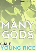 Many Gods (eBook, ePUB)