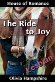 The Ride to Joy (eBook, ePUB)