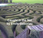 Caught in the Net (eBook, ePUB)
