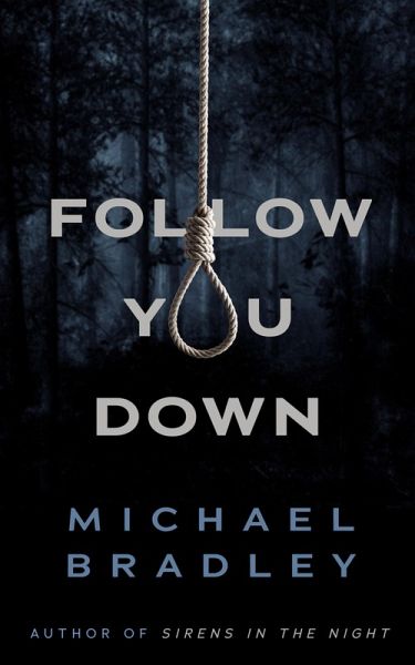 Follow You Down (eBook, ePUB)