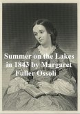 Summer on the Lakes in 1843 (eBook, ePUB)