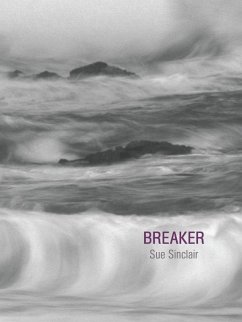 Cover Breaker (eBook, ePUB)