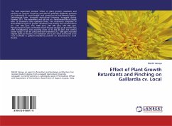 Effect of Plant Growth Retardants and Pinching on Gaillardia cv. Local