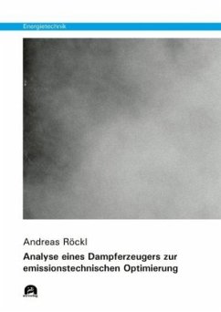 Analyse eines Dampferzeugers zur emissionstechnischen Optimierung - Röckl, Andreas