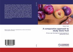 A comparative approach to study stone fruit