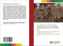 Qualidade do mel de abelha comercializado em Caraúbas - RN - Barbosa, Lucas de Souza;Machado, Antônio Vitor