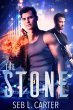 The Stone (eBook, ePUB) - Bild 1
