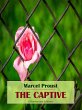 The Captive (eBook, ePUB) - Bild 1