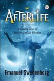 Afterlife (eBook, ePUB)