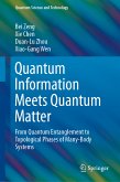 Quantum Information Meets Quantum Matter (eBook, PDF)