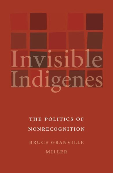 Invisible Indigenes (eBook, PDF) Invisible Indigenes (eBook, PDF)
